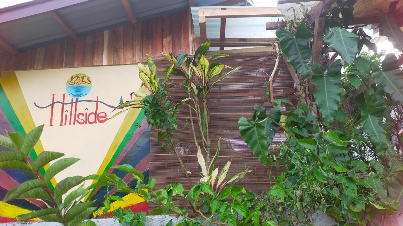 Mil'S Hillside Tourist Inn San Vicente  Dış mekan fotoğraf
